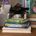 Original Small Book-Shaped Decorative Planter