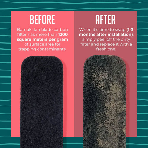 Coconut Shell Carbon Filter